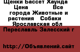 Щенки Бассет Хаунда  › Цена ­ 25 000 - Все города Животные и растения » Собаки   . Ярославская обл.,Переславль-Залесский г.